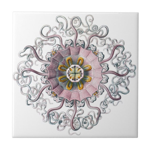 Pink starfish tile (Front)