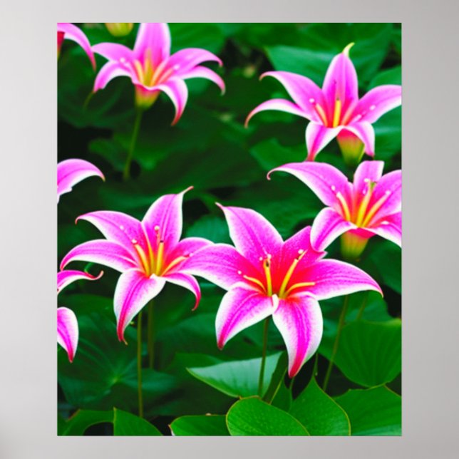 Pink Stargazer Lilies AI Art Poster (Devant)