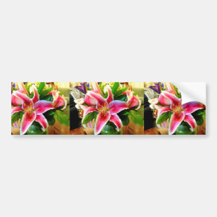 pink stargazer lilies bumper sticker