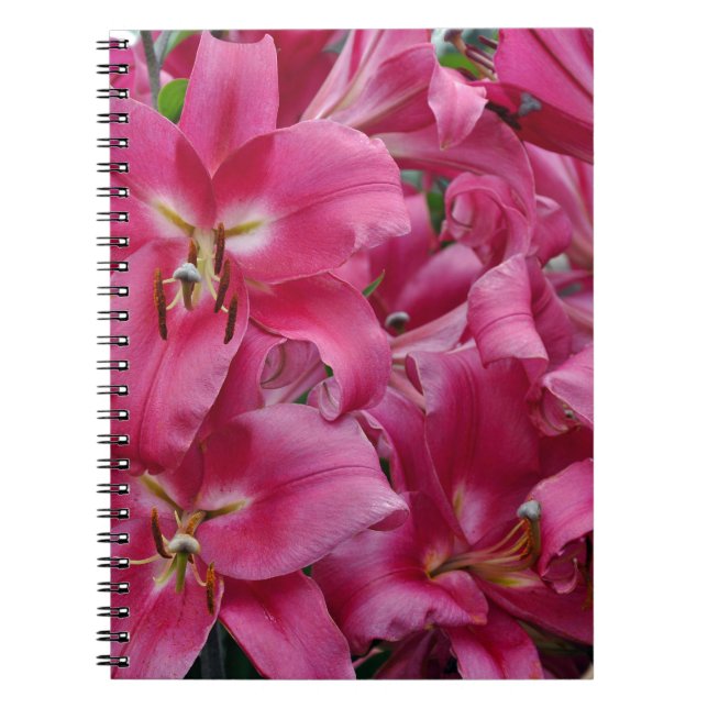 Pink stargazer lilies notebook (Front)