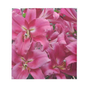 Pink stargazer lilies notepad