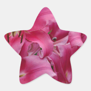 Pink stargazer lilies star sticker