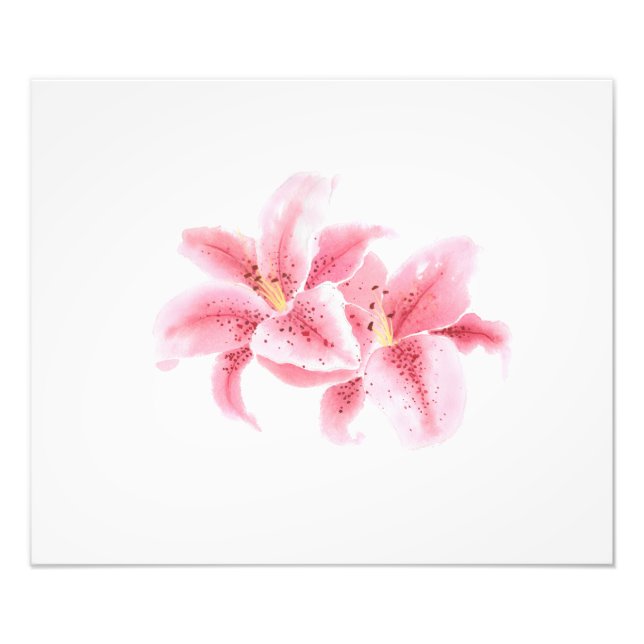 Pink Stargazer Lilies Watercolor Photo Print (Front)
