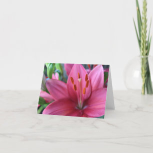Pink Stargazer Lilly in the Garden  Holiday Card