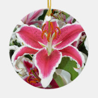 Pink stargazer lily flowers
