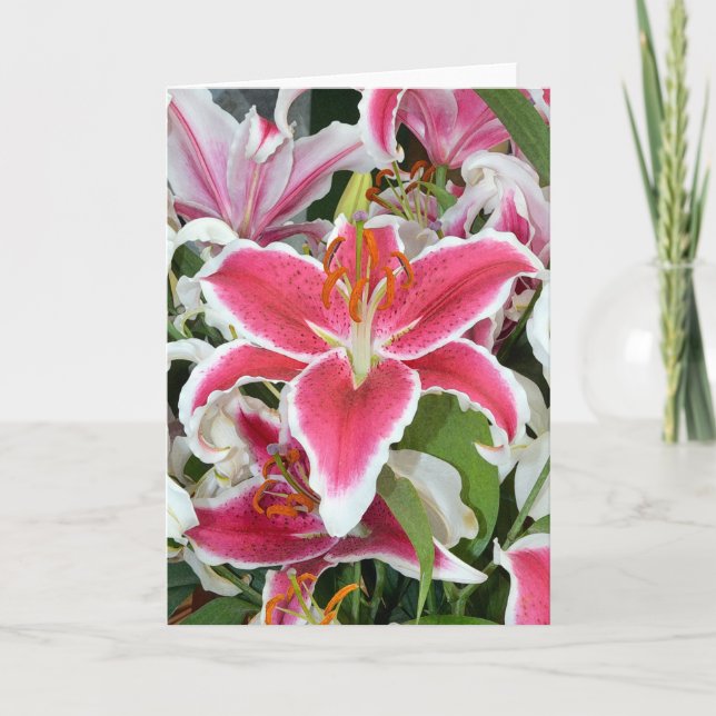 Pink stargazer lily flowers greeting card (Front)