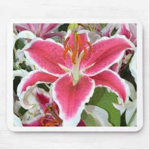 Pink stargazer lily flowers mouse pad