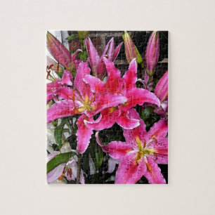 Pink Stargazer Lily Jigsaw Puzzle