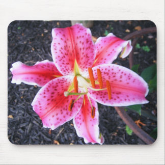 Pink Stargazer  Lily Mouse Pad