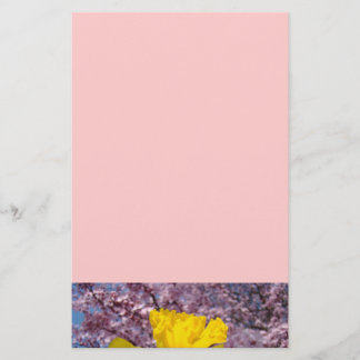 Pink Stationery Tree Blossoms Spring Daffodils