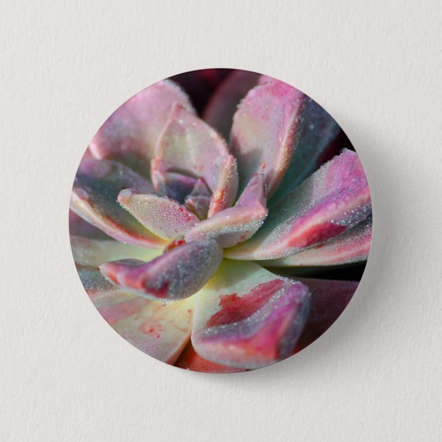 Pink Succulent 2 Inch Round Button (Front)