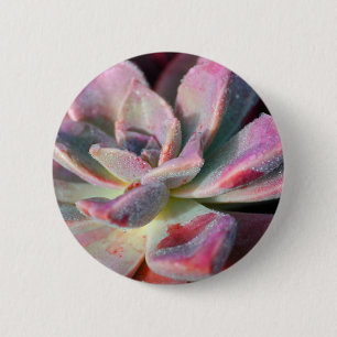 Pink Succulent 2 Inch Round Button