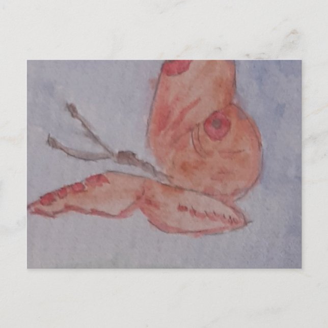 Pink Summer Butterfly Postcard (Front)