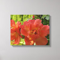 Pink Summer Roses Flower Photo Single Print