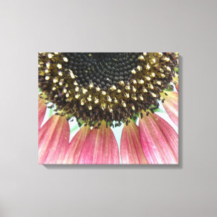 Pink Sunflower Canvas Print