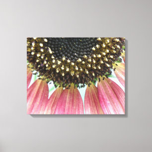 Pink Sunflower Canvas Print