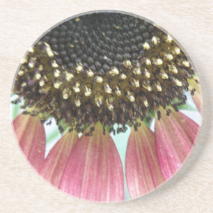 Pink Sunflower Coasters