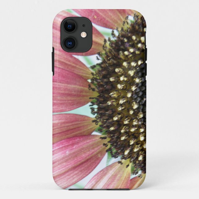 Pink Sunflower iPhone 5 Coque (Dos)