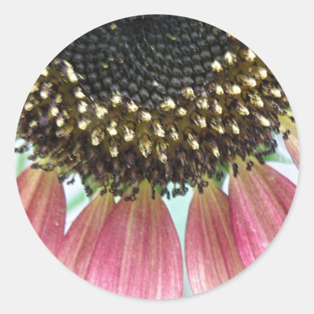 Pink Sunflower Stickers (Front)