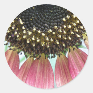 Pink Sunflower Stickers