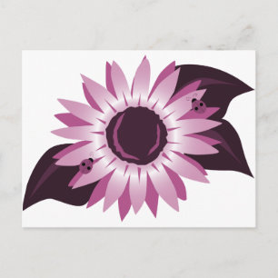 Pink Sunflower With Ladybugs Postcard