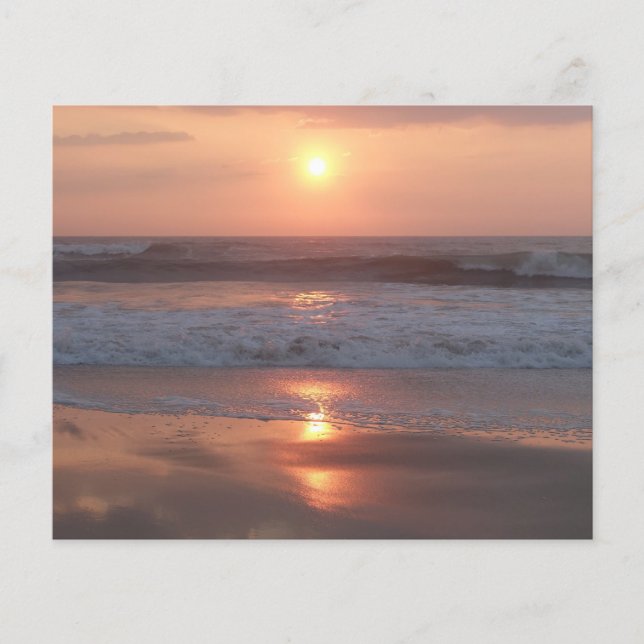 Pink Sunset on the Beach Flyer (Front)