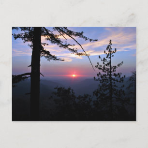 Pink sunset with pine trees and clouds postcard