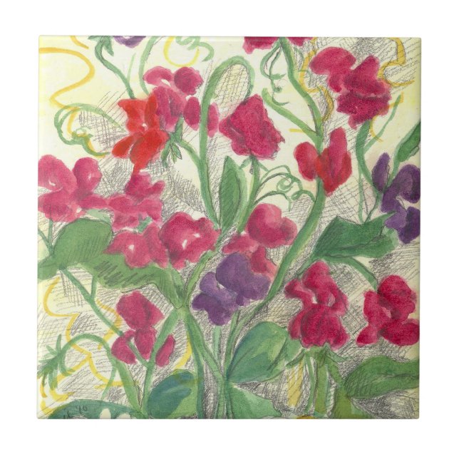Pink Sweet Pea Watercolor Flower Garden Tile Art (Front)