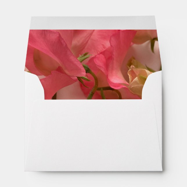 Pink sweet peas full envelope (Back (Bottom))