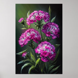 Pink Sweet William Flower Art Print Poster