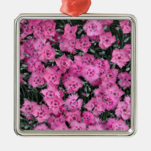 Pink sweet william flowers metal ornament