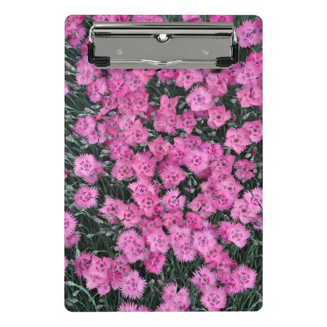 Pink sweet william flowers mini clipboard (Front)