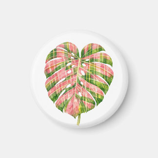 Pink Tartan Scottish Monstera Watercolour Botanic Magnet