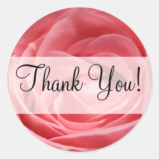 Pink Tea Rose with "Thank You!" banner Classic Round Sticker (Front)