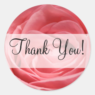 Pink Tea Rose with "Thank You!" banner Classic Round Sticker