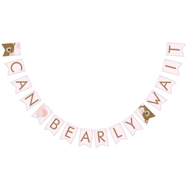Pink Teddy We Can Bearly Wait Girl Baby Shower Bunting Flags (All)