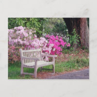 Pink The garden bench flowers