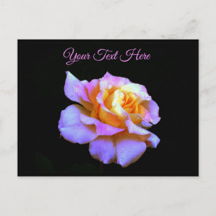 Pink Tie Dyed Rose Postcard *customize*