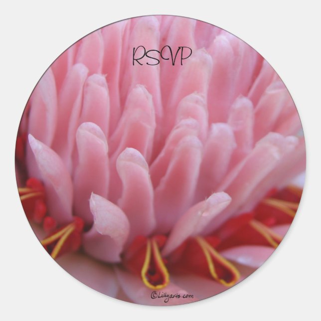 Pink Torch Ginger Wedding Envelope Seals/ Stickers (Front)