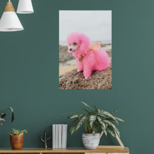 PINK TOY POODLE AT THE BEACH POSTER