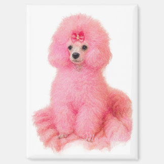 pink toy poodle magnet, pink poodle, refrigerator magnet
