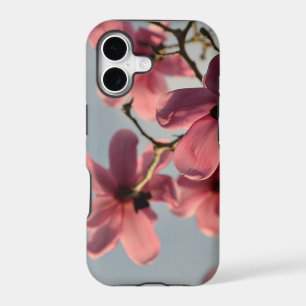 Pink Tree Blossom Photo