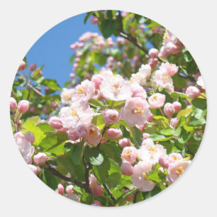 Pink Tree Blossoms stickers Envelope seals Spring