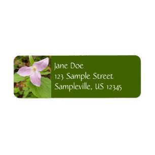 Pink Trillium Flower