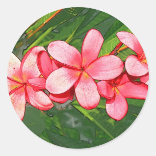 Pink Tropical Frangipani Art Classic Round Sticker