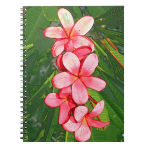 Pink Tropical Frangipani Art Notebook