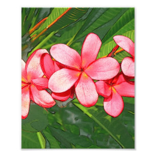 Pink Tropical Frangipani Art Photo Print