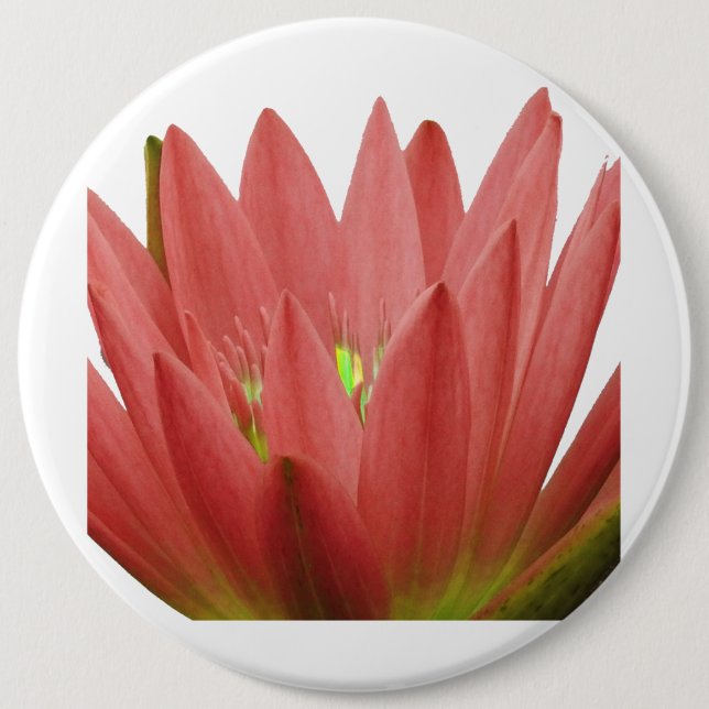Pink Tulip 6 Inch Round Button (Front)