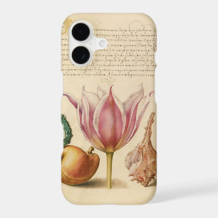 Pink Tulip And Catepillar