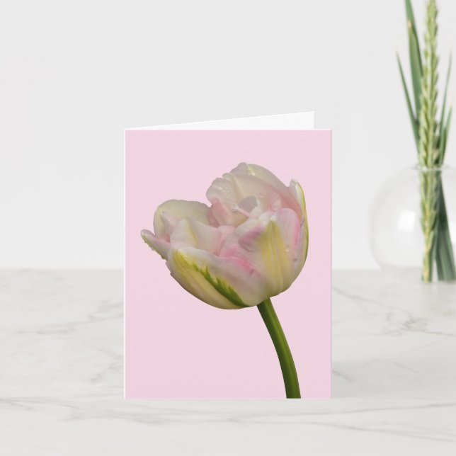 Pink Tulip Blank or Custom Greeting Thank You Note Card (Front)